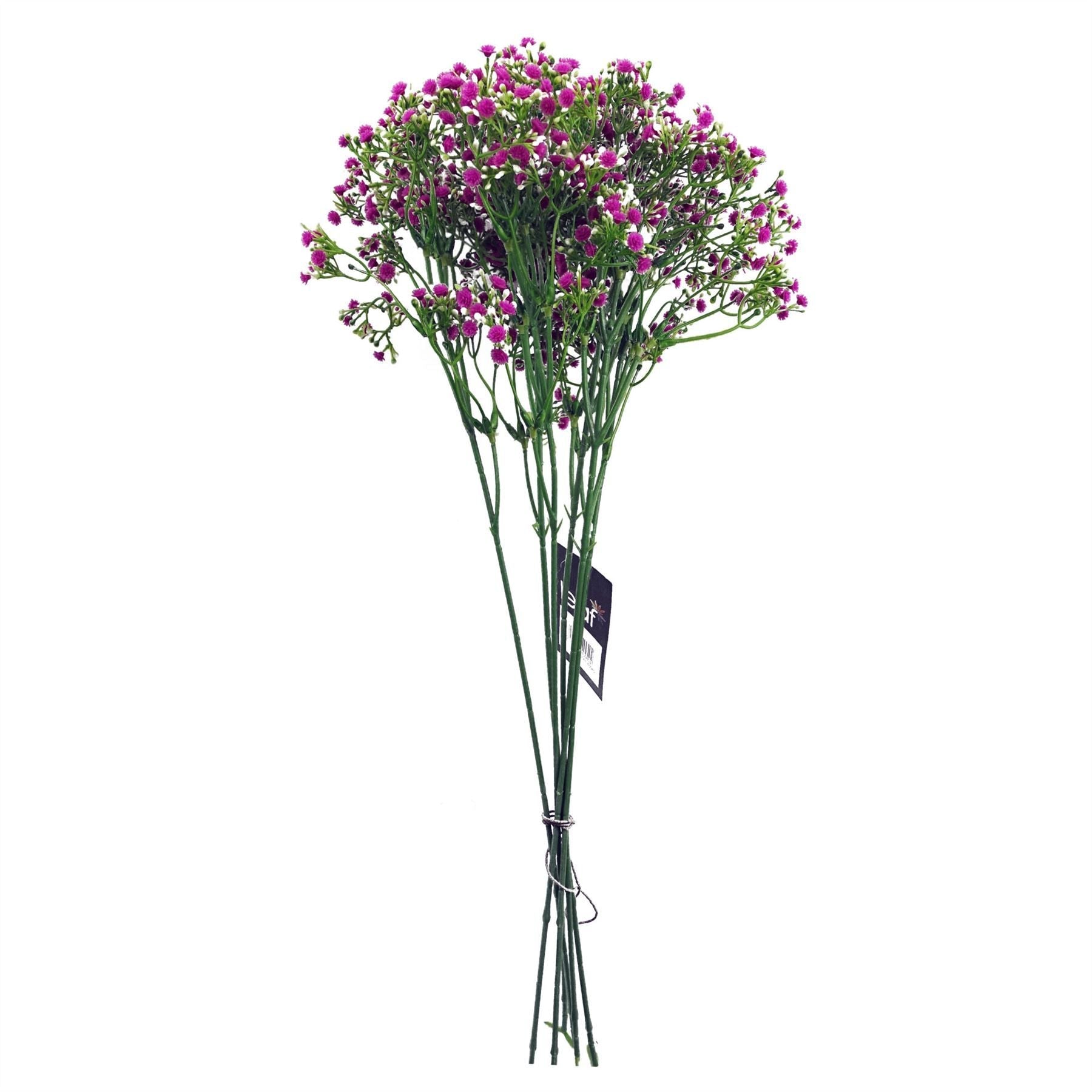 Charming 55cm Pink Gypsophila Stem - Perfect for Vibrant Floral Arrangements! - plants - express.com