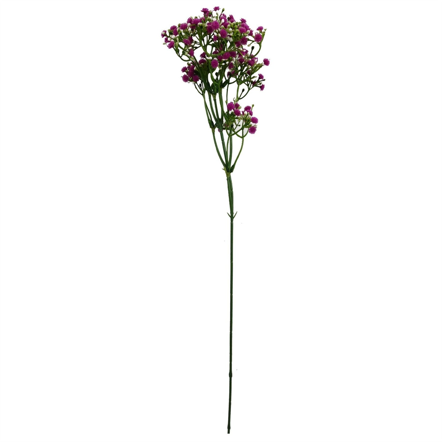 Charming 55cm Pink Gypsophila Stem - Perfect for Vibrant Floral Arrangements! - plants - express.com