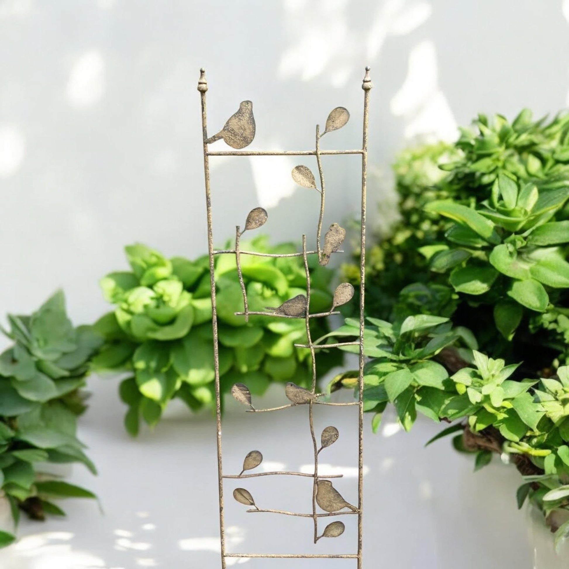 Charming Birds in Love Garden Stake - 165CM Celestial Trellis Delight! - plants - express.com