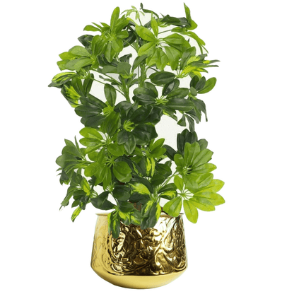 Chic 18cm Gold Swirl Metal Planter - Unique Rustic Charm for Your Greens - plants - express.com