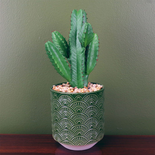 Chic 23cm Faux Cactus in Elegant Green Ceramic Planter - No Maintenance Needed! - plants - express.com
