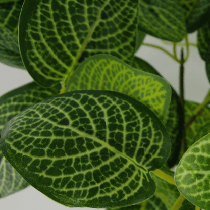 Chic 40cm Artificial Variegated Pothos Plant in Sleek Black Pot - plants - express.com