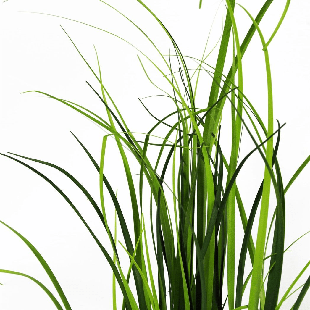 Chic 60cm Artificial Onion Grass with Dusty Pink Ceramic Planter Set - plants - express.com