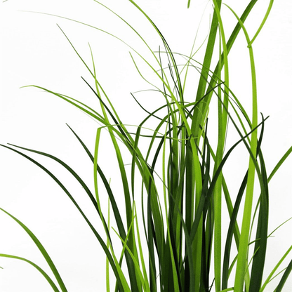 Chic 60cm Artificial Onion Grass with Dusty Pink Ceramic Planter Set - plants - express.com
