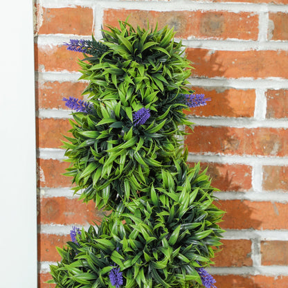 Chic Spiral Boxwood & Lavender Plant Set – Effortless, Low - Maintenance Elegance - plants - express.com