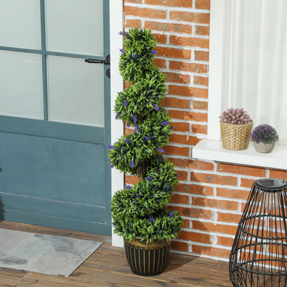 Chic Spiral Boxwood & Lavender Plant Set – Effortless, Low - Maintenance Elegance - plants - express.com