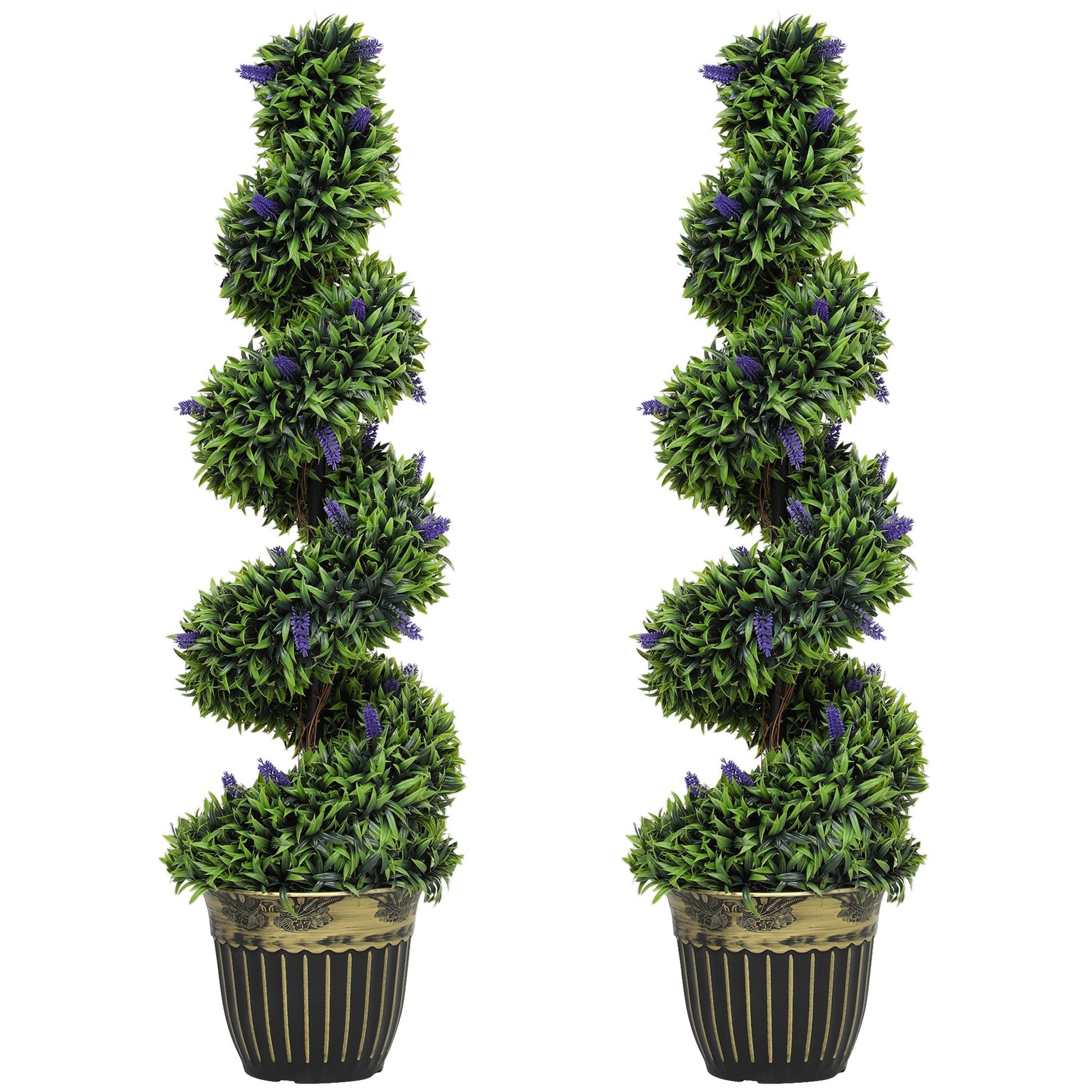 Chic Spiral Boxwood & Lavender Plant Set – Effortless, Low - Maintenance Elegance - plants - express.com