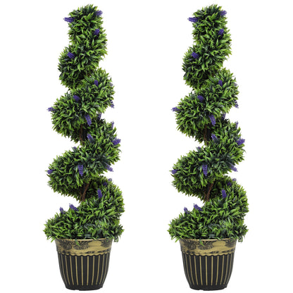 Chic Spiral Boxwood & Lavender Plant Set – Effortless, Low - Maintenance Elegance - plants - express.com