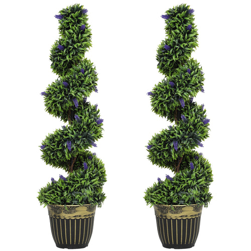 Chic Spiral Boxwood & Lavender Plant Set – Effortless, Low - Maintenance Elegance - plants - express.com