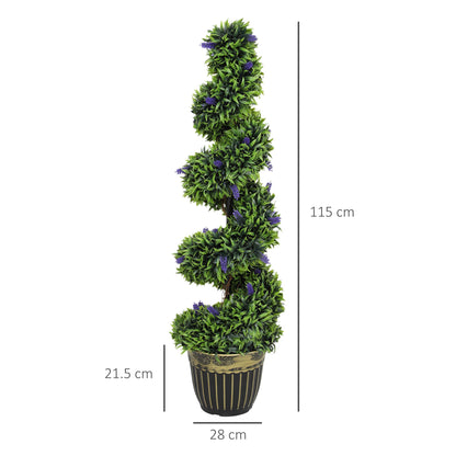 Chic Spiral Boxwood & Lavender Plant Set – Effortless, Low - Maintenance Elegance - plants - express.com