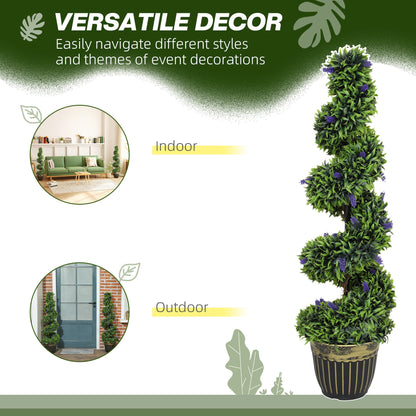 Chic Spiral Boxwood & Lavender Plant Set – Effortless, Low - Maintenance Elegance - plants - express.com