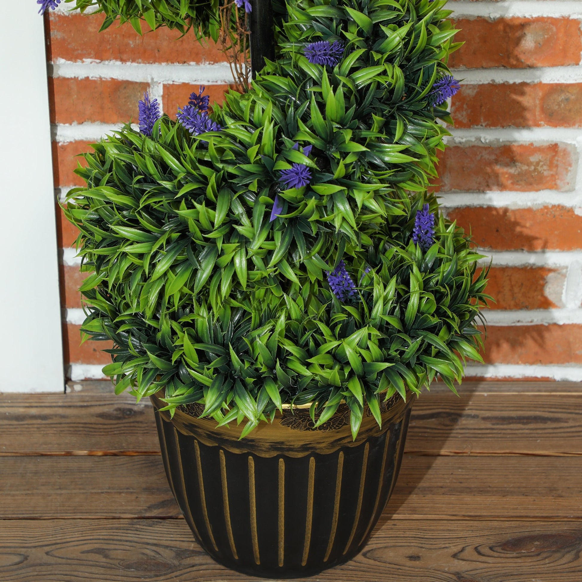 Chic Spiral Boxwood & Lavender Plant Set – Effortless, Low - Maintenance Elegance - plants - express.com