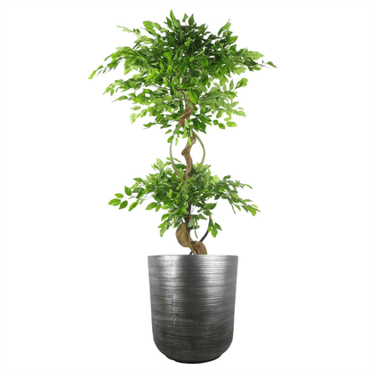 Coya Silver Ridged Extra Large Planter - 47cm x 41cm Rustic Charm - plants - express.com