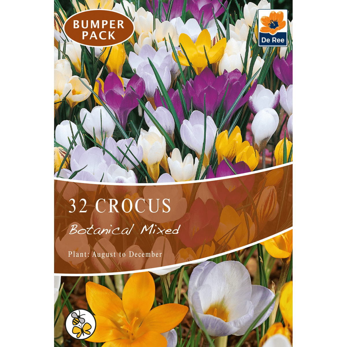 Crocus Botanical Mixed Bulbs (15/32) - Colorful Early Spring Blooms - plants - express.com