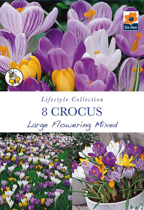 Crocus Mixed Bulbs (8) - Early Spring Color for Garden, Lawn or Containers - plants - express.com
