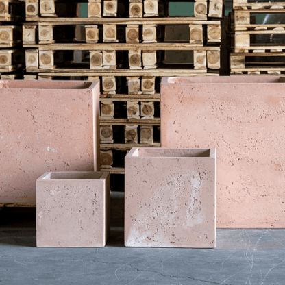 Cubrosa Blushstone 100cm XXL Concrete Planter - Ultimate Bold Statement Piece - plants - express.com