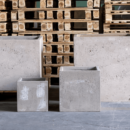 Cubrosa Truffle 85cm XL Concrete Planter – 459L Architectural Style - plants - express.com