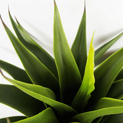 Elegance Unleashed: 55cm Lifelike Artificial Yucca Plant for Stunning Decor - plants - express.com