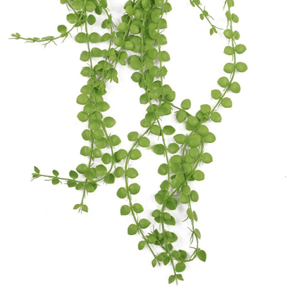 Elegance Unleashed: 6 - Pack UV & Fire Resistant 92cm Pearl String Plants - plants - express.com
