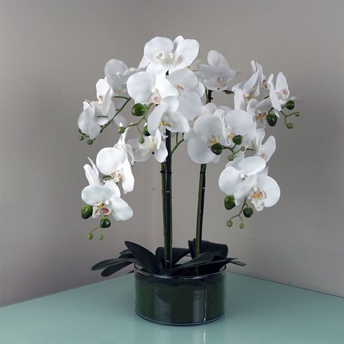 Elegance Unveiled: 50cm Lifelike Orchid in Chic Glass Planter - White Blossom - plants - express.com