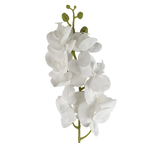 Elegant 100cm Artificial White Phalaenopsis Orchid Stem - Perfect for Arrangements! - plants - express.com