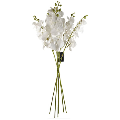Elegant 100cm Artificial White Phalaenopsis Orchid Stem - Perfect for Arrangements! - plants - express.com