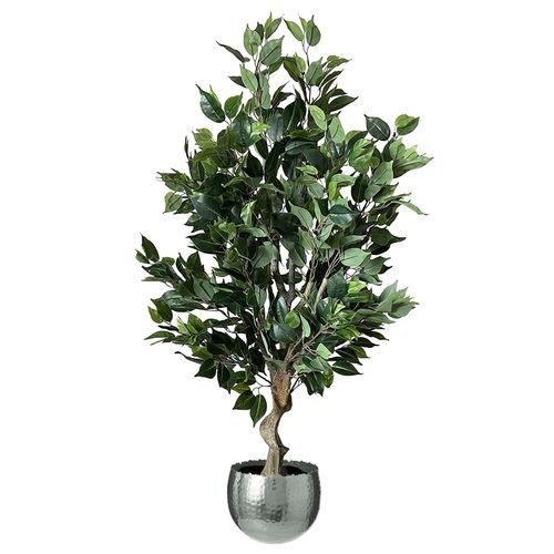 Elegant 100cm Ficus Twist Tree with Silver Decorative Planter - Premium Appeal - plants - express.com
