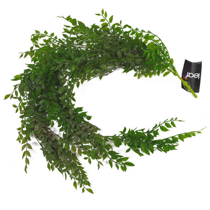 Elegant 100cm Hanging String of Pearls Fern - Lush Dark Green Beauty - plants - express.com