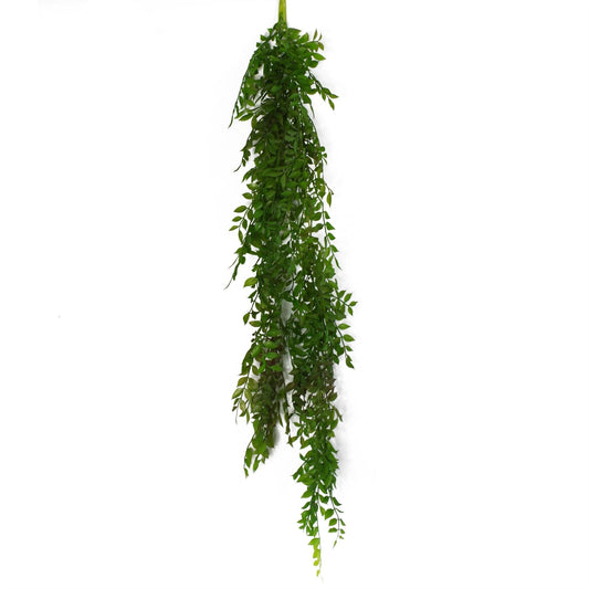 Elegant 100cm Hanging String of Pearls Fern - Lush Dark Green Beauty - plants - express.com