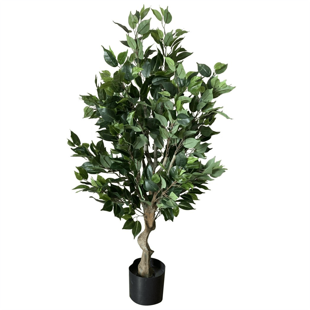 Elegant 100cm Premium Artificial Ficus Twist Tree with Gold Planter - plants - express.com