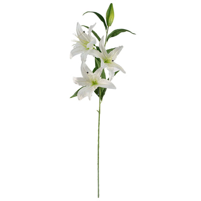 Elegant 100cm White Lily & Fern Arrangement with Smoke Grey Vase - plants - express.com