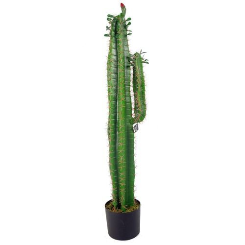 Elegant 110cm Premium Artificial Cactus in Weighted Pot - Leaf Design - plants - express.com
