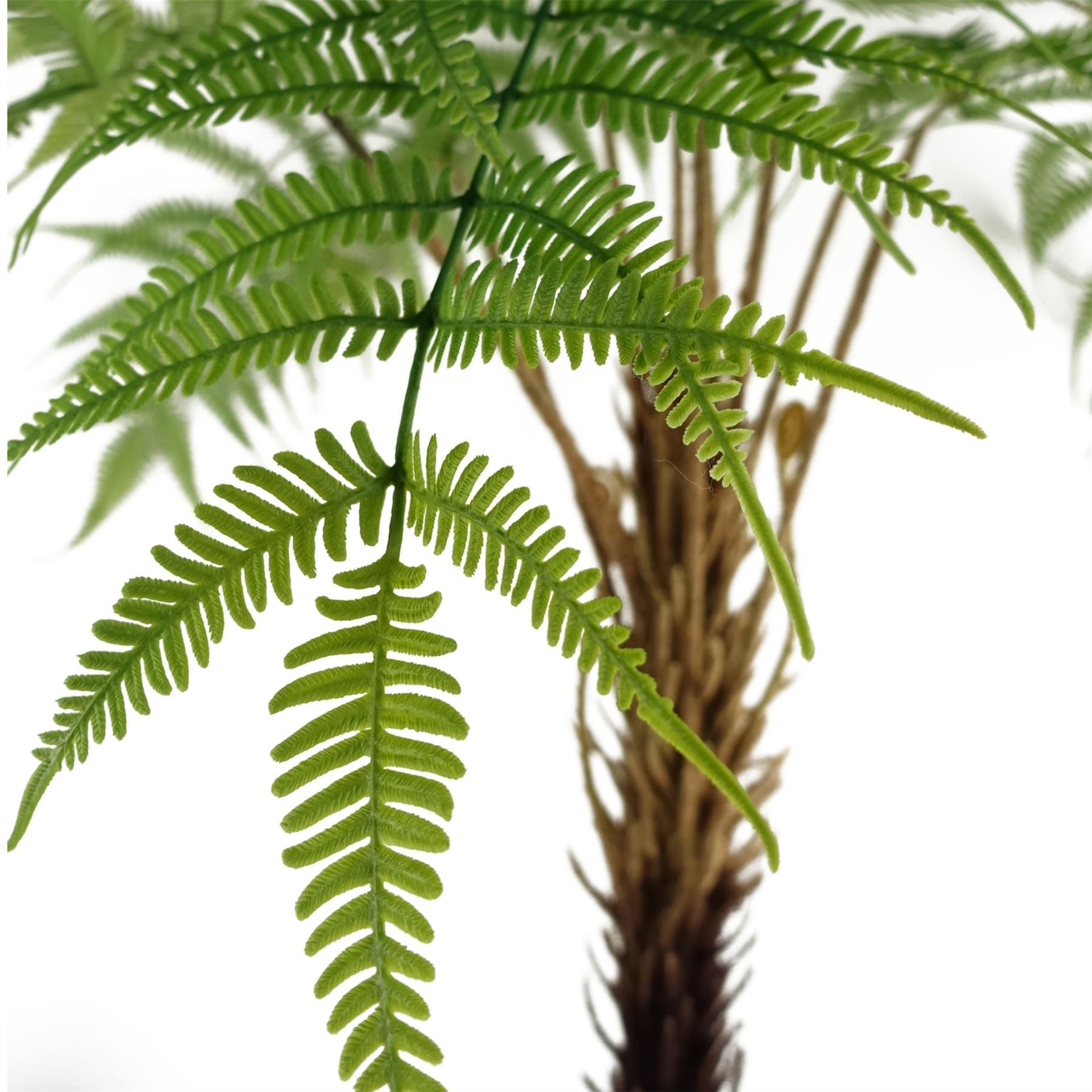 Elegant 120cm Artificial Fern Tree - Perfect for Any Home Decor! - plants - express.com