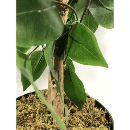 Elegant 120cm Artificial Ficus Tree - Lifelike Indoor Decor Masterpiece - plants - express.com