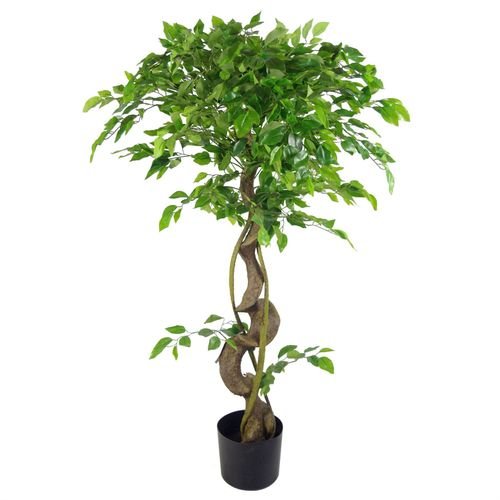 Elegant 120cm Twisted Ficus Tree - Lush, Assembled Artificial Evergreen - plants - express.com