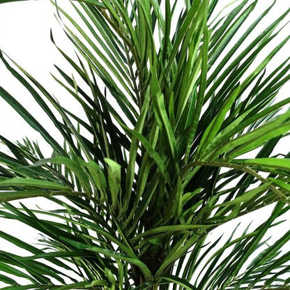 Elegant 130cm Artificial Areca Palm Tree - Luxe Silk Leaves & Customizable Design - plants - express.com