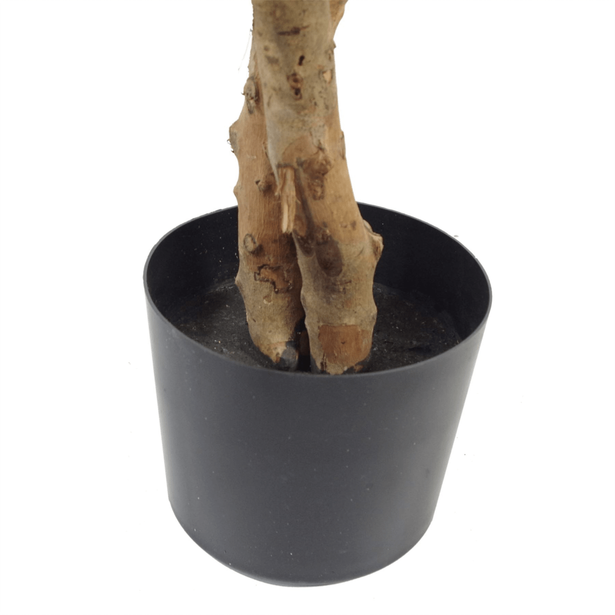 Elegant 130cm Variegated Ficus Tree in Gold Metal Planter - Lifelike Decor - plants - express.com