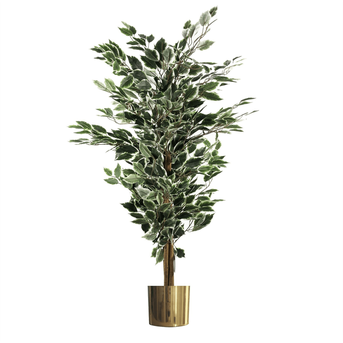 Elegant 130cm Variegated Ficus Tree in Gold Metal Planter - Lifelike Decor - plants - express.com