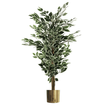 Elegant 130cm Variegated Ficus Tree in Gold Metal Planter - Lifelike Decor - plants - express.com