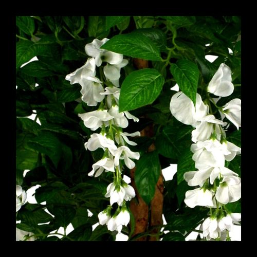 Elegant 130cm White Wisteria Tree - Premium Luxury Artificial Floral Decor - plants - express.com