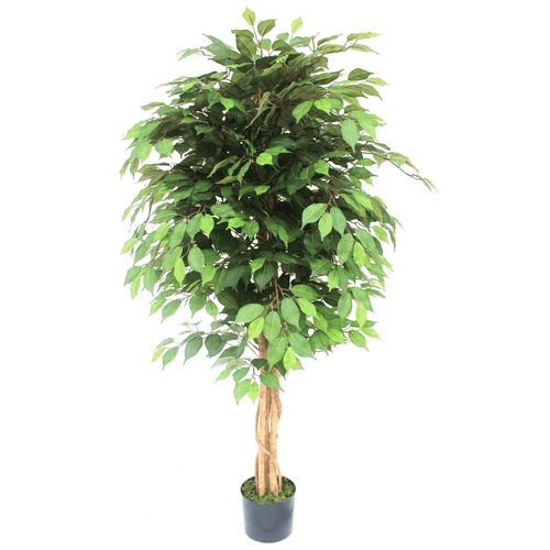 Elegant 150cm Artificial Ficus Tree - Lifelike Décor for Any Space - plants - express.com