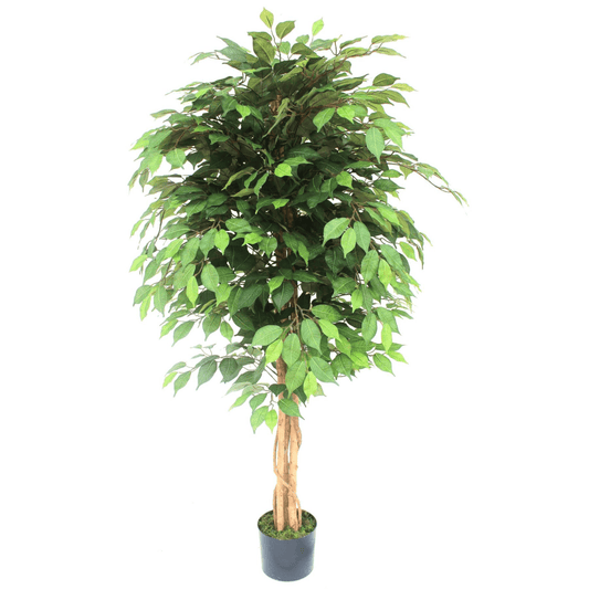 Elegant 150cm Artificial Ficus Tree - Lifelike Décor for Any Space - plants - express.com