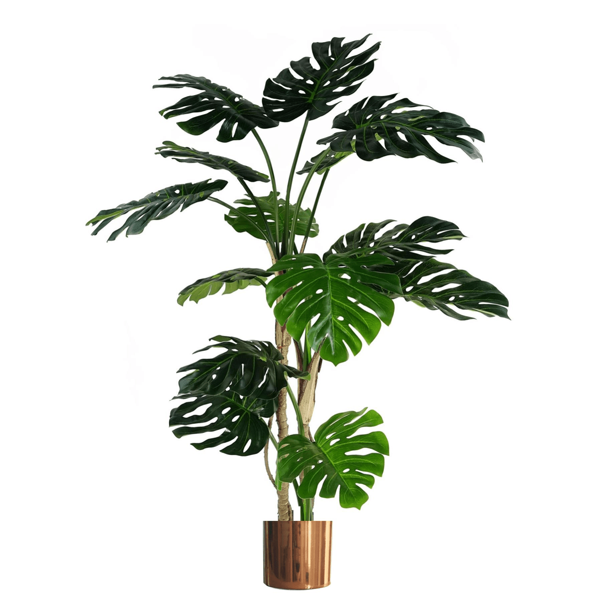 Elegant 150cm Monstera Plant with Stylish Black Pot & Copper Metal Planter - plants - express.com