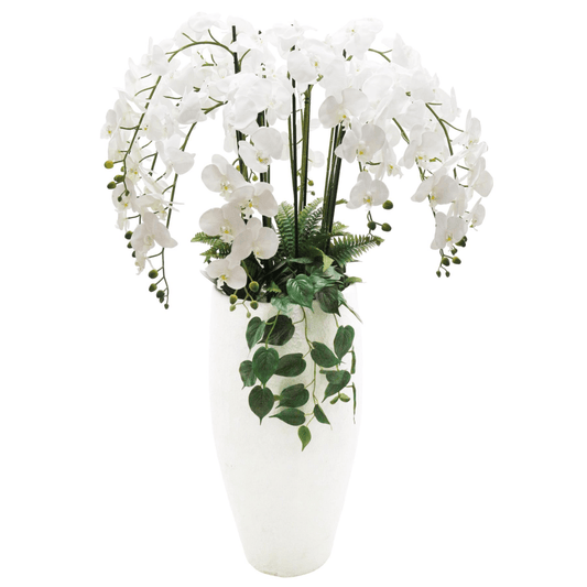 Elegant 150cm White Orchid Potted Display - Effortless Beauty for Any Space - plants - express.com