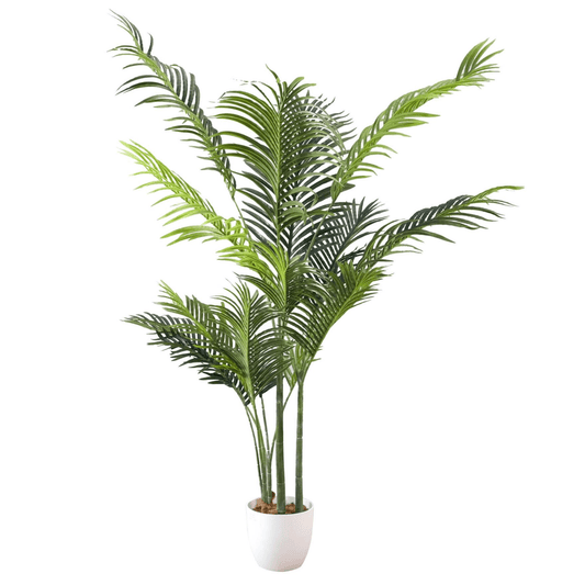 Elegant 160cm Artificial Palm Tree in Modern White Pot - No Maintenance Needed! - plants - express.com