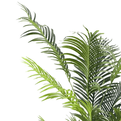 Elegant 160cm Artificial Palm Tree in Modern White Pot - No Maintenance Needed! - plants - express.com