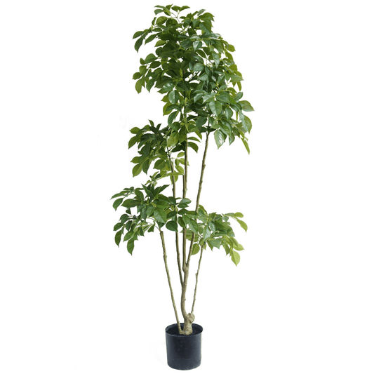 Elegant 180cm Radermachera Artificial Tree - Lush & Low - Maintenance Décor - plants - express.com