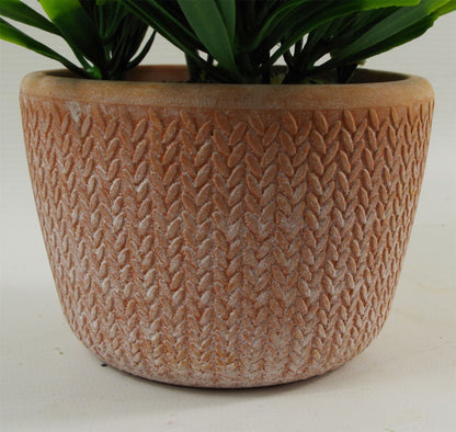 Elegant 22cm Honey Plant in Terracotta Pot - Lush Green Home Accent - plants - express.com