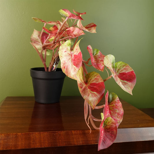 Elegant 30cm Artificial Pink Caladium Plant in Decorative Pot - Lifelike Beauty - plants - express.com