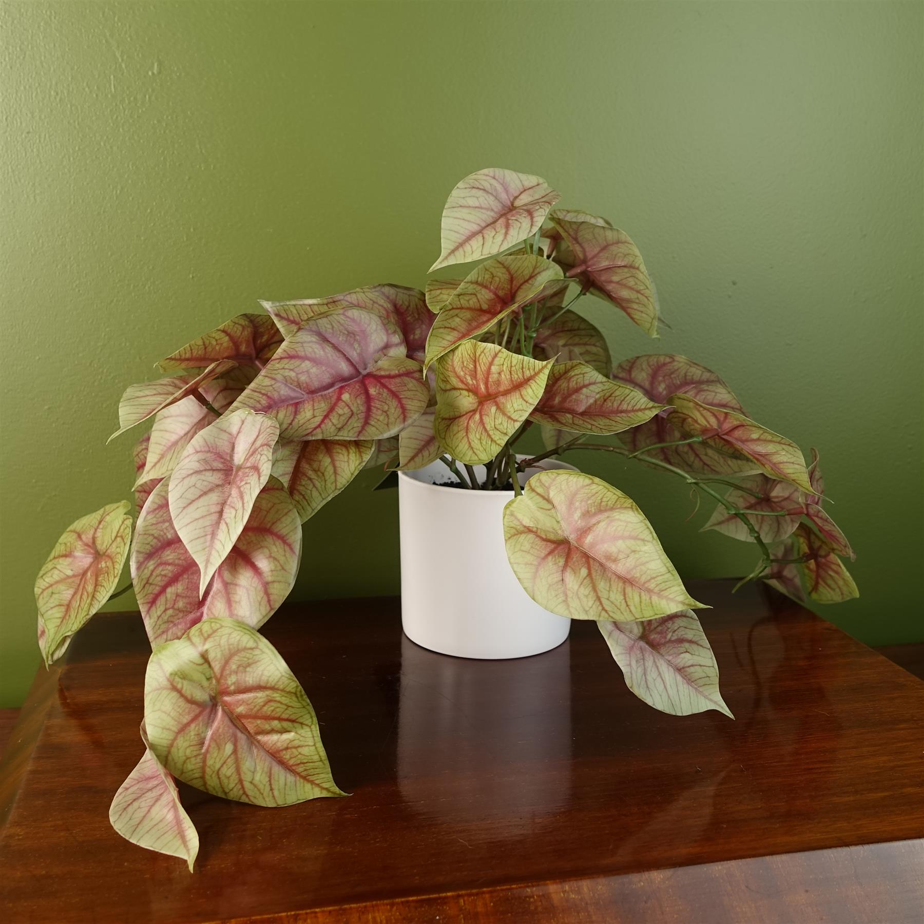 Elegant 30cm Pink Caladium Potted Plant - Lifelike Decor for Any Space! - plants - express.com